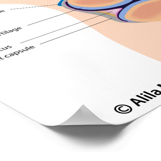 Anatomie des menschlichen Kniegelenk-Posters Poster (Ecke)