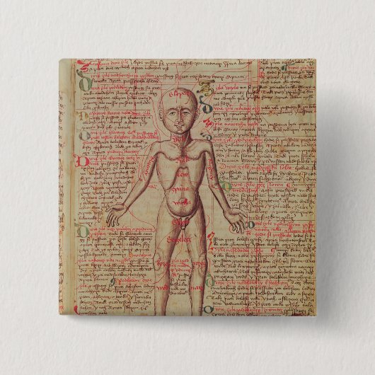 Anatomie des menschlichen Körpers Button (Vorderseite)