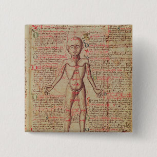Anatomie des menschlichen Körpers Button