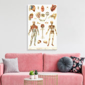 Anatomie des menschlichen Körpers Leinwanddruck (Insitu (Wohnzimmer))