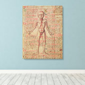 Anatomie des menschlichen Körpers Leinwanddruck (Insitu (Holzboden))