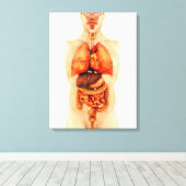 Anatomie des menschlichen Körpers mit Ganzorganen  Leinwanddruck (Insitu (Holzboden))