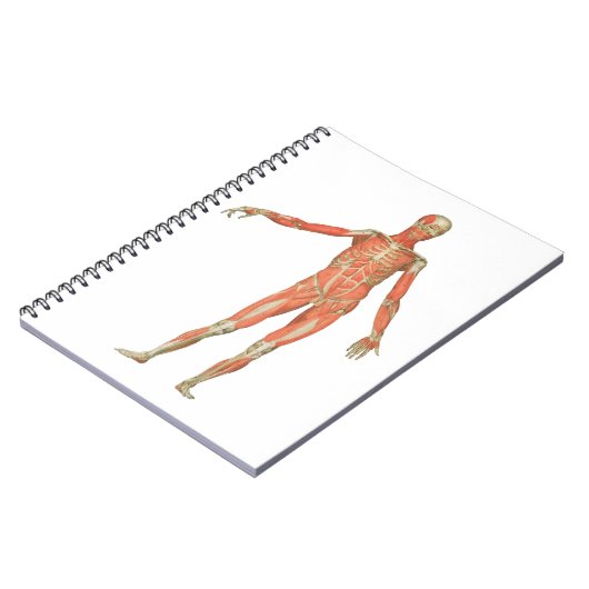 Anatomie des menschlichen Körpers Notizblock (Linke Seite)