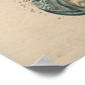 Anatomie des menschlichen Nervensystems 1841 Print Poster (Ecke)