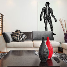 Anatomie des menschlichen Nervensystems