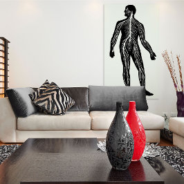 Anatomie des menschlichen Nervensystems Poster