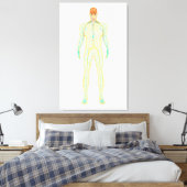 Anatomie des menschlichen Nervensystems und des Ly Leinwanddruck (Insitu (Schlafzimmer))