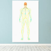 Anatomie des menschlichen Nervensystems und des Ly Leinwanddruck (Insitu (Holzboden))