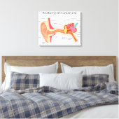 Anatomie des menschlichen Ohrs Leinwanddruck (Insitu (Schlafzimmer))