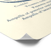 Anatomie des menschlichen Ohrs Poster (Ecke)