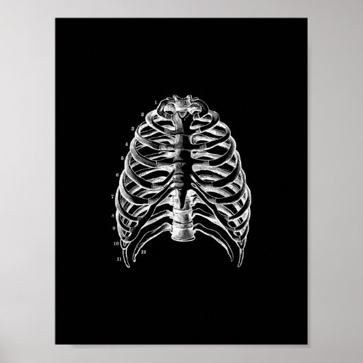 Anatomie des menschlichen Ribcage in Schwarz und W Poster (Vorne)