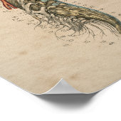 Anatomie des menschlichen Rückenmarks 1841 Print Poster (Ecke)