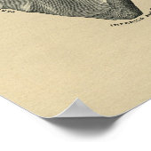 Anatomie des menschlichen Scapula 1902 Vintag Poster (Ecke)