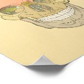 Anatomie des menschlichen Schädelgraues Poster (Ecke)