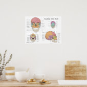 Anatomie des menschlichen Schädels 18 X 24 Poster (Küche)