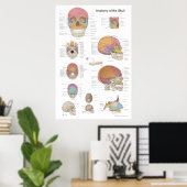 Anatomie des menschlichen Schädels 24 X 36 Poster (Heimbüro)