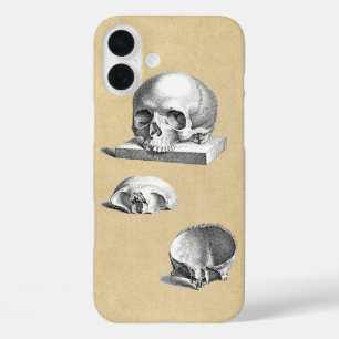 Anatomie des menschlichen Schädels iPhone 16 Plus Hülle