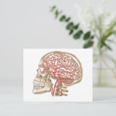 Anatomie des menschlichen Schädels, des Auges und  Postkarte (Stehend Vorderseite)