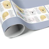 Anatomie des menschlichen Schädels illustrierte Um Geschenkpapier (Rolleneckpunkt)