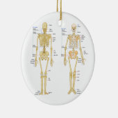 Anatomie des menschlichen Skeletts Keramikornament (Rechts)