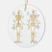 Anatomie des menschlichen Skeletts Keramikornament (Links)