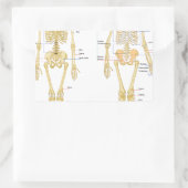 Anatomie des menschlichen Skeletts Rechteckiger Aufkleber (Tasche)