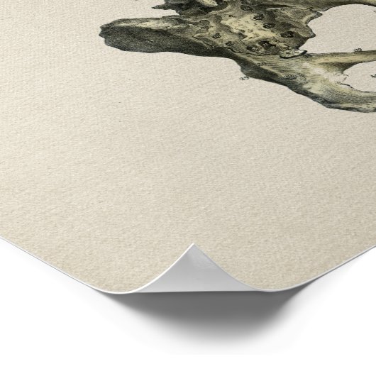 Anatomie des menschlichen Skeletts Vintag Poster (Ecke)