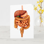 Anatomie des menschlichen Verdauungssystems, Vorde Karte (Gelbe Blume)