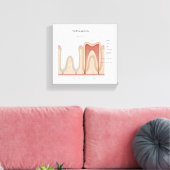 Anatomie des menschlichen Zahnes, gedehnte Leinwan Leinwanddruck (Insitu (Wohnzimmer))