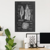 Anatomie des menschlichen Zahnfleisches Poster (Heimbüro)