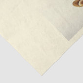 Anatomie des Musikreihen-Designs 2 Seidenpapier (Ausschnitt)