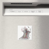 Anatomie des Necks Magnet (In Situ (Geschirrspüler))