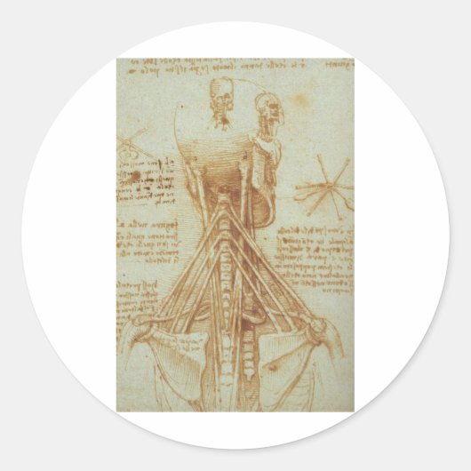 Anatomie des Necks von Leonardo Da Vinci c. 1515 Runder Aufkleber (Vorderseite)