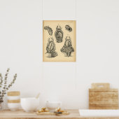 Anatomie des Pferdes 1908 Vintag Poster (Küche)