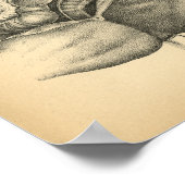 Anatomie des Pferdes 1908 Vintag Poster (Ecke)