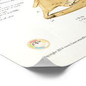 Anatomie des Rinderschädels Poster (Ecke)