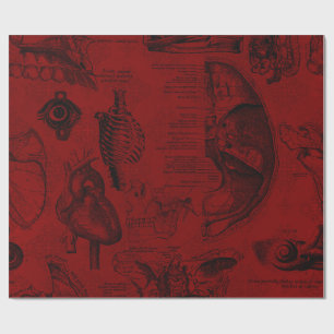 Anatomie des roten Vampyrs Geschenkpapier