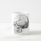 Anatomie des Schädels Kaffeetasse (Mittel)