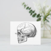 Anatomie des Schädels Postkarte (Stehend Vorderseite)