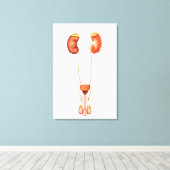 Anatomie des Urinsystems des Menschen, Frontansich Leinwanddruck (Insitu (Holzboden))