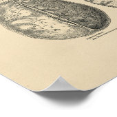 Anatomie des Vintagen Hirns 1880 Druck Poster (Ecke)