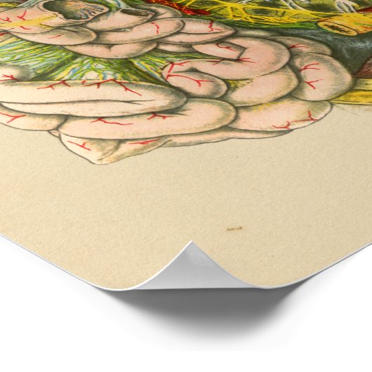 Anatomie des Vintagen menschlichen Nervensystems Poster (Ecke)