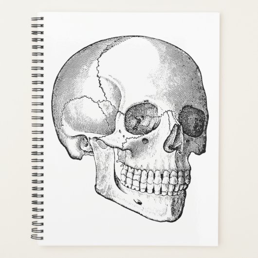 Anatomie des Vintagen Schädels, zeichnend monochro Planer (Vorderseite)