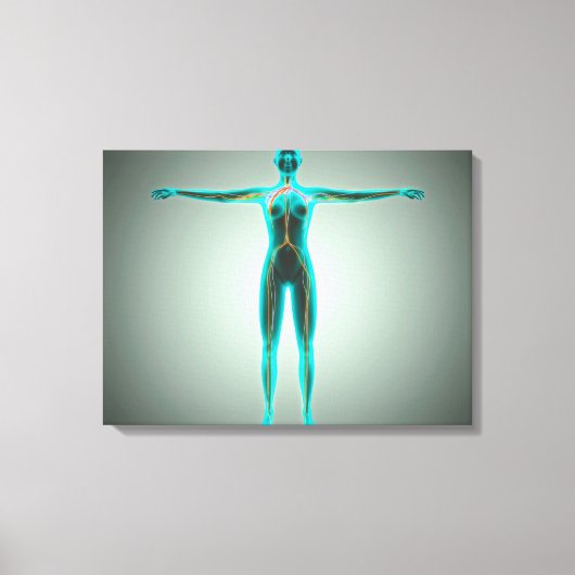 Anatomie des weiblichen Körpers mit Arterien und V Leinwanddruck (Vorderseite)