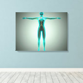 Anatomie des weiblichen Körpers mit Arterien und V Leinwanddruck (Insitu (Holzboden))