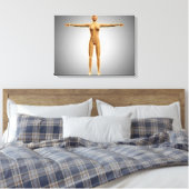 Anatomie des weiblichen Körpers mit dem Nervensyst Leinwanddruck (Insitu (Schlafzimmer))