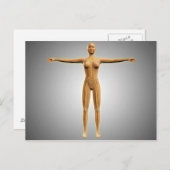 Anatomie des weiblichen Körpers mit dem Nervensyst Postkarte (Vorne/Hinten)