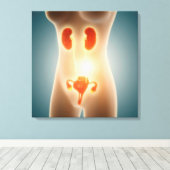 Anatomie des weiblichen Körpers mit Fortpflanzungs Leinwanddruck (Insitu (Holzboden))