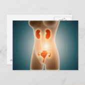 Anatomie des weiblichen Körpers mit Fortpflanzungs Postkarte (Vorne/Hinten)