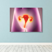 Anatomie des weiblichen Körpers mit Uterus Leinwanddruck (Insitu (Holzboden))